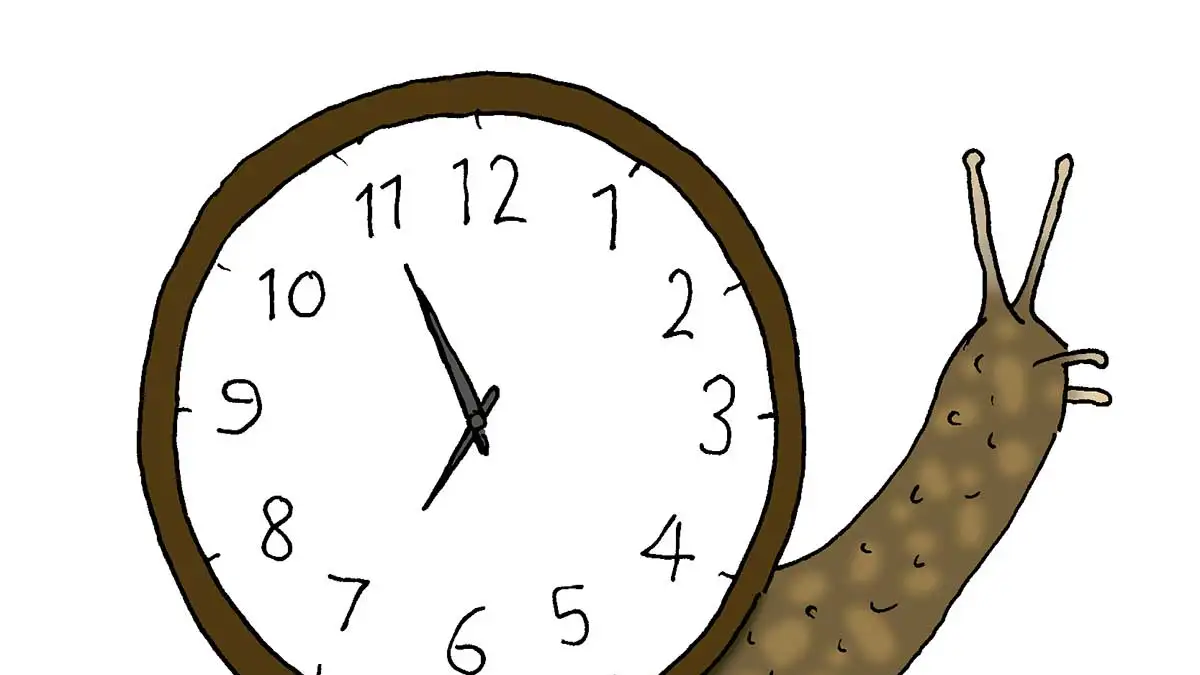 Time Slows Down