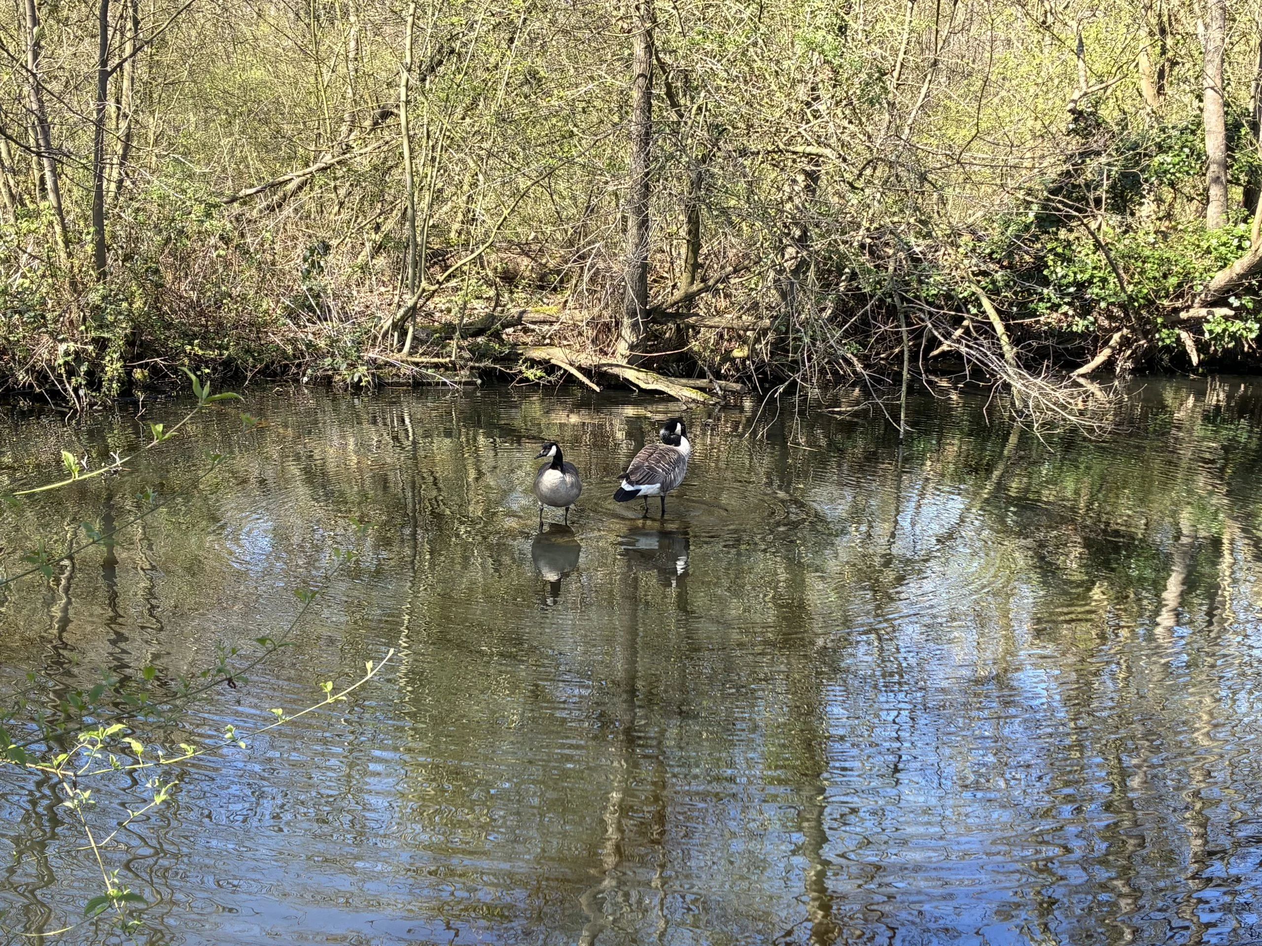 River Nar - Norfolk